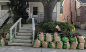Garden-Cleanup-001-300x183-panorama-3ff805a9198fe30d046126a6e137a39d-