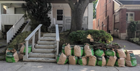 Garden-Cleanup-001