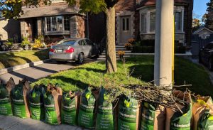 Garden-Cleanup-006