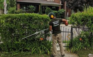 Gardenzilla-Pruning-Hedging-1