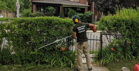 Gardenzilla-Pruning-Hedging-1