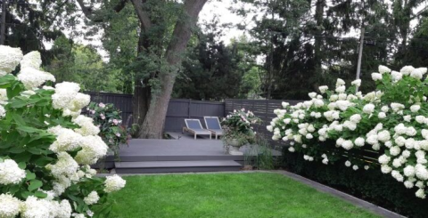 Landscape-Maintenance-003-1-720x440-panorama-58f9cb454b84f679a24372e5dbc62e04-