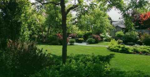 Lawn-Care-1-1024x576