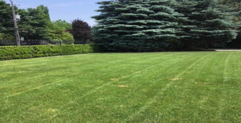 Lawn-Mowing-021-720x440-panorama-4a503b1a03b87202016c9ce1eb5e8329-
