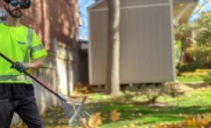Raking-300x169-landscape-2387e774dcb7ae5f706952ddfb28d339-