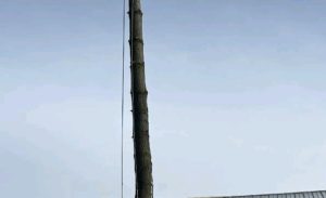 Screenshot_20250517_214038_Messenger