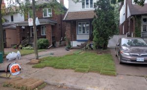 Sod-Process-C-3-720x440 (1)