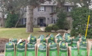 Spring-Cleanup-Yard-Waste-Bags-300x183-landscape-27f187c316336821d560797025932a55-