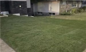 garden_f.jpg