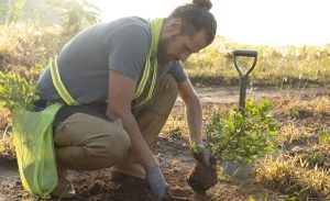 person-planting-tree-countryside
