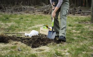 planting-trees-as-part-reforestation-process