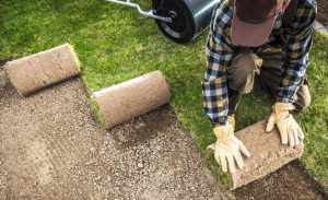 professional-landscaper-rolling-out-natural-grass-turfs-inside-garden_906478-243