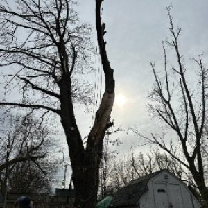thumb_Messenger_creation_A7270851-9200-47AC-A728-B56A1C1DA55C